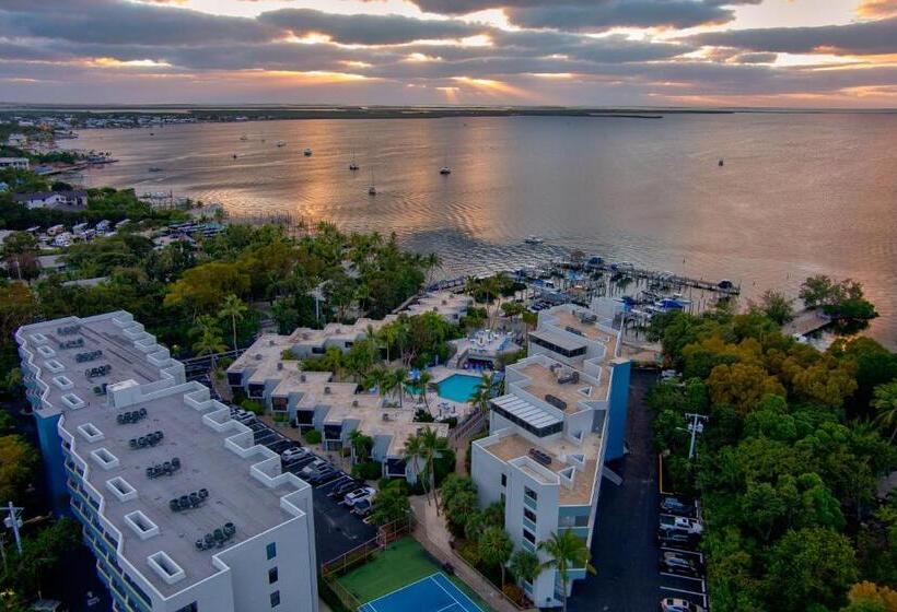 2br In Key Largo W Pool And Sunset Views