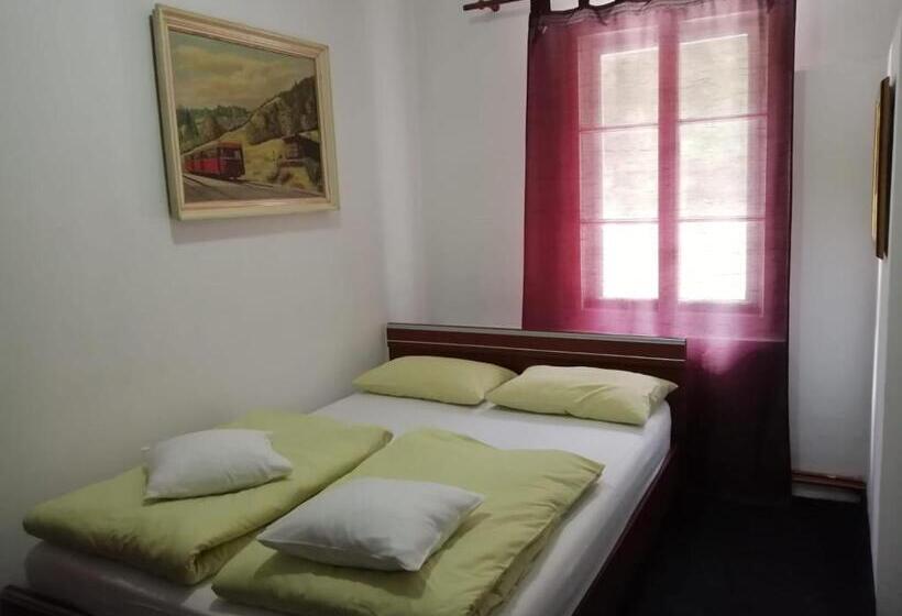 بنسيون Cabana Basmelor Cu Ciubar