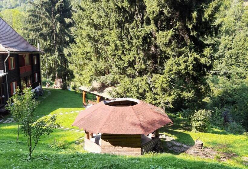 بنسيون Cabana Basmelor Cu Ciubar