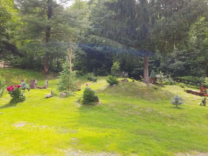 بنسيون Cabana Basmelor Cu Ciubar