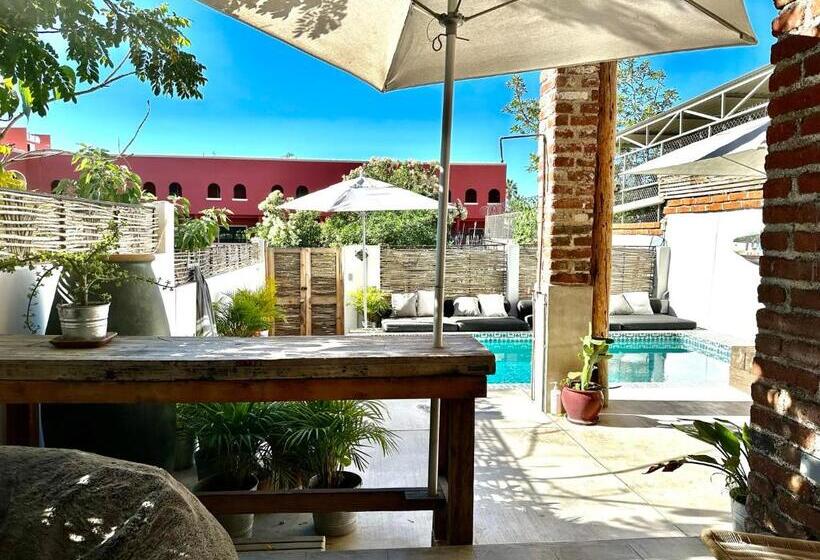 هاستل Baja House