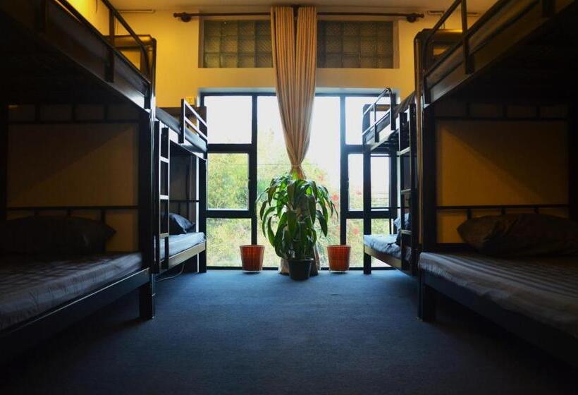 فندق صغير Cosmos Guesthouse Snack Bar