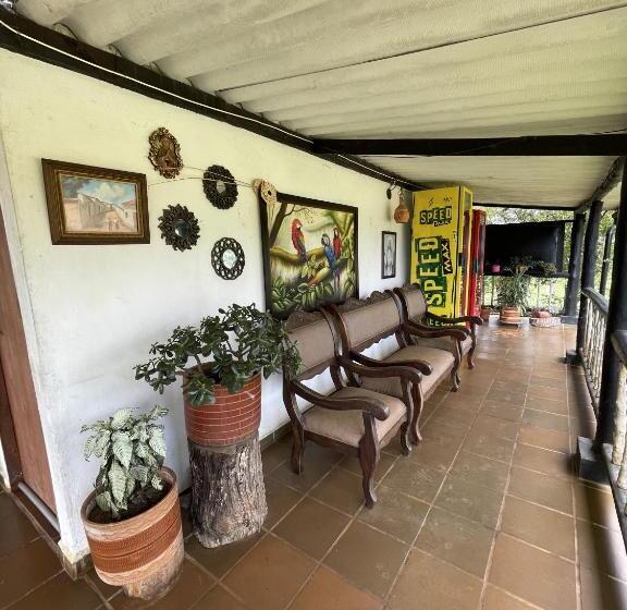 پانسیون Hostal Greenlandomesa