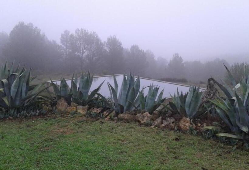 酒店 Casa Rural En Pleno Paraje Natural La Chirala