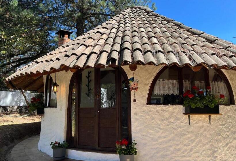 פנסיון Cabañas Cuatro Estaciones