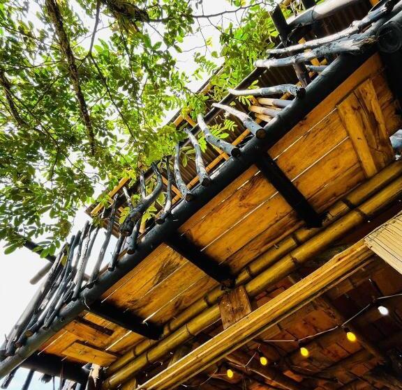 بنسيون La Cabaña Del Nyctibius