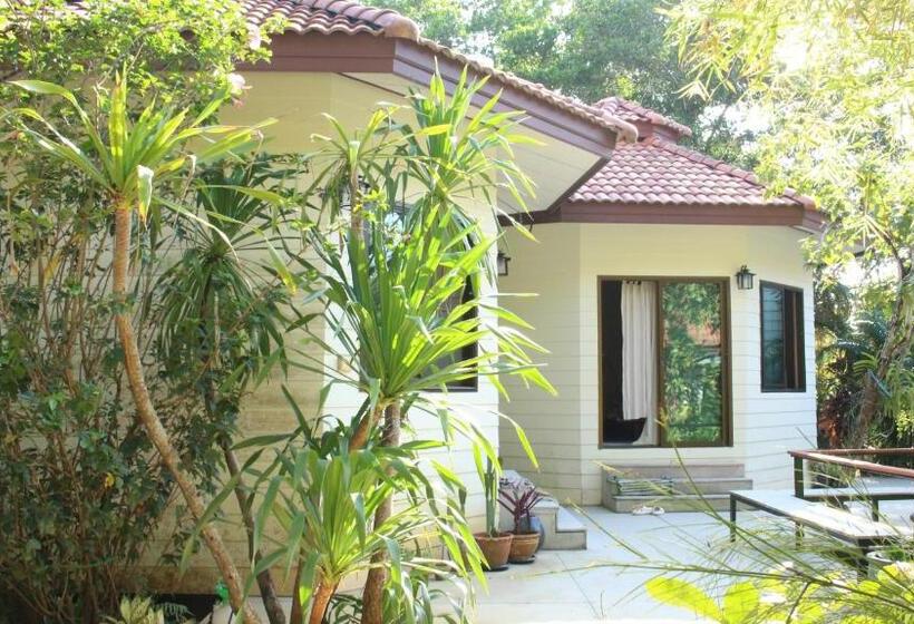 住宿加早餐  Navari Homestay