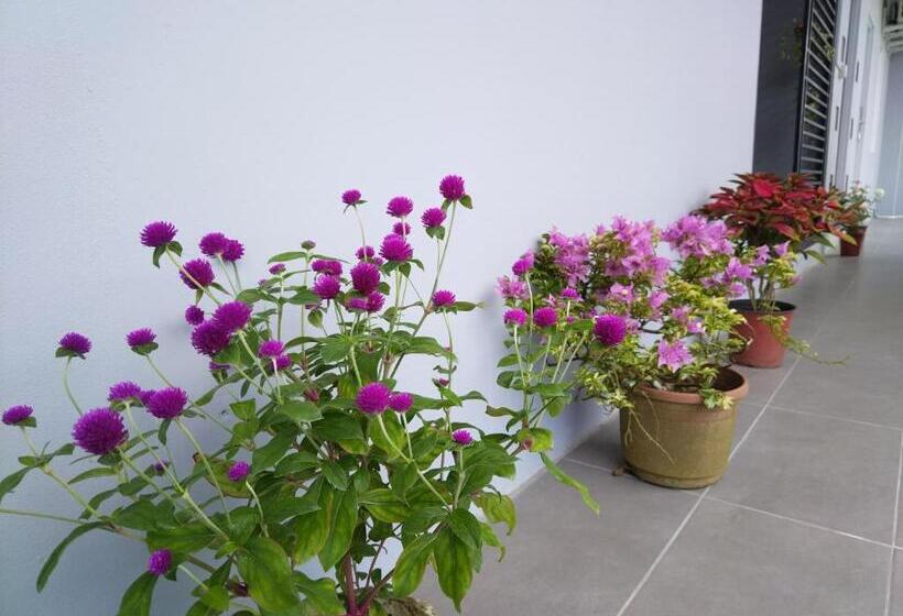 هتل Greenery Rooms