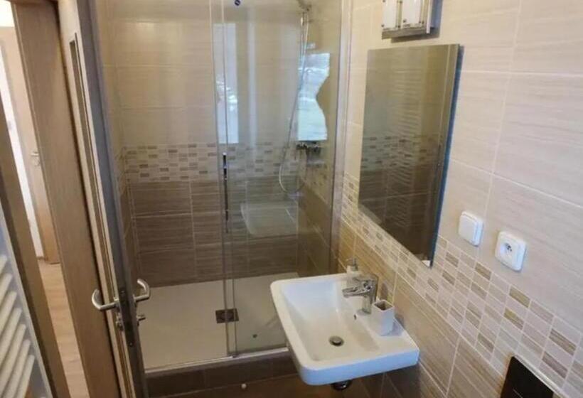 ペンション Penzion U Koruny