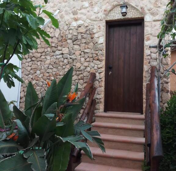 تختخواب و صبحانه Mystery Garden Guest House