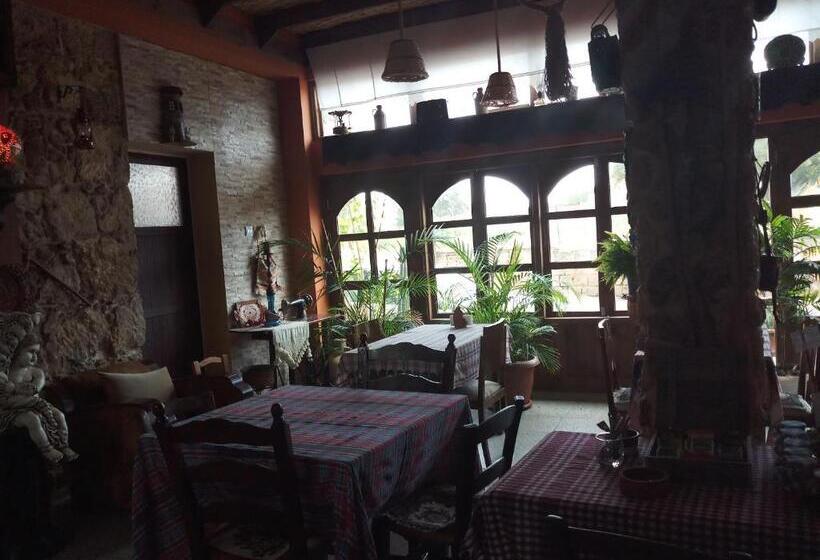 تختخواب و صبحانه Mystery Garden Guest House