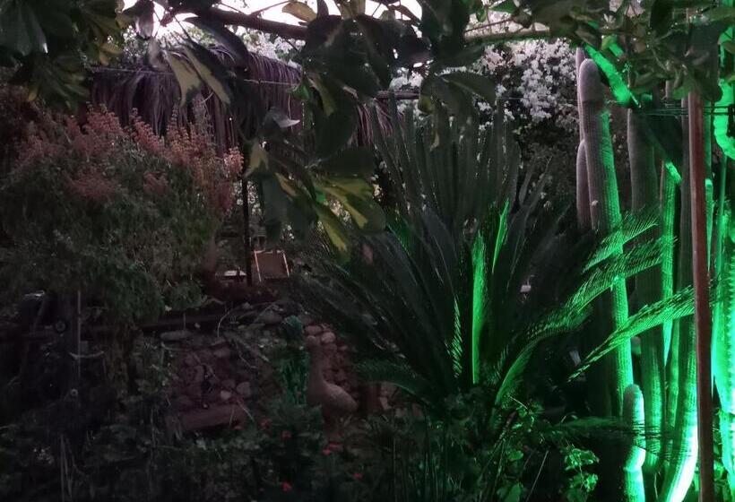 تختخواب و صبحانه Mystery Garden Guest House