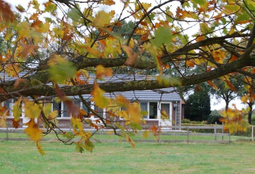 فندق B&b Roodbeekerhof