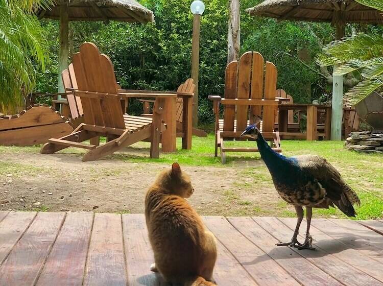 هتل Apartamentos Premium Con Yacuzzi Dunas Del Este