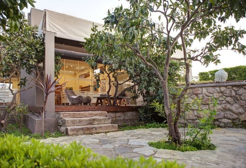 هتل The Lifeco Bodrum Well   Being Center   Adults Only