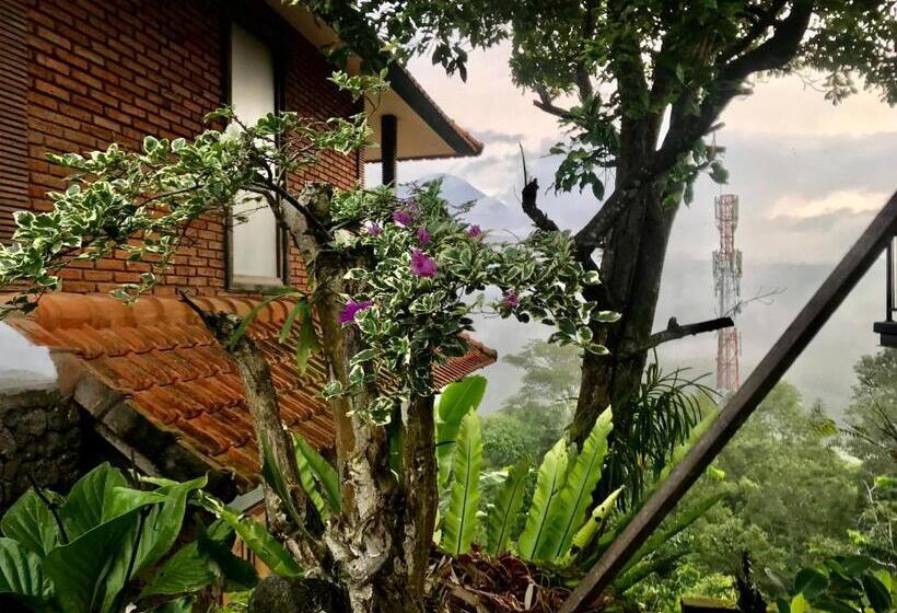 호스텔 Kraras Munduk Guest House & Donbiyu Rendezvous Restaurant