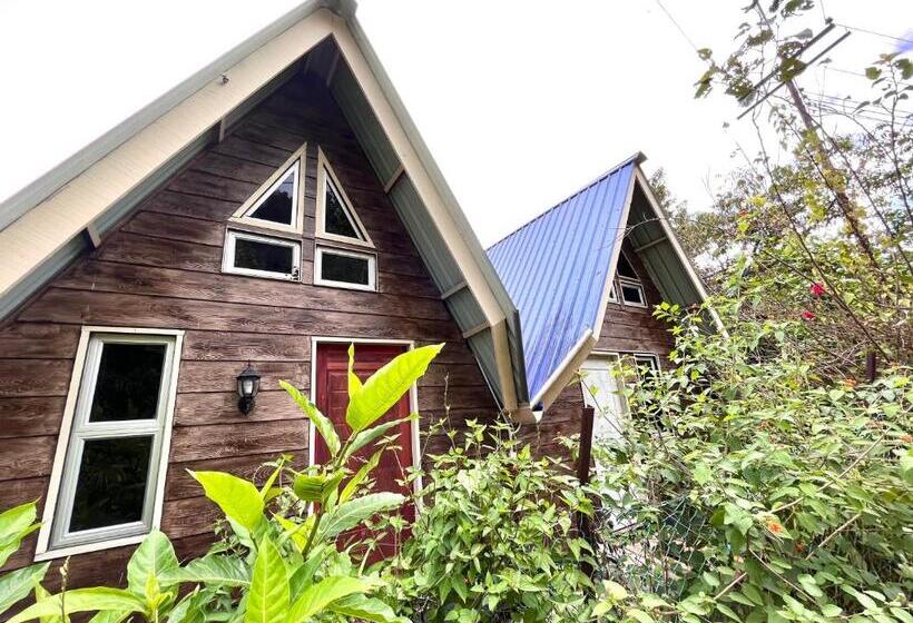 住宿加早餐  Saiheng Cabin Homestay