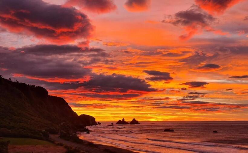 مبيت وإفطار View With A Room Nz   Boutique Beachfront Accommodation On The Great Coast Road
