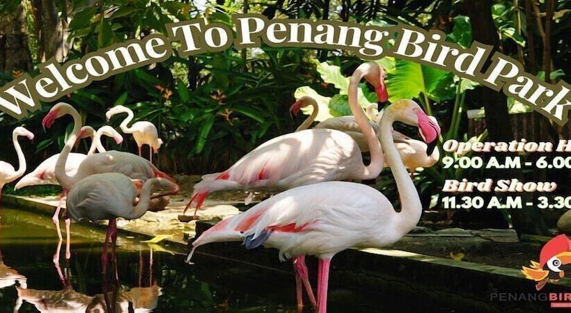 فندق Crowne Plaza Penang Straits City By Ihg