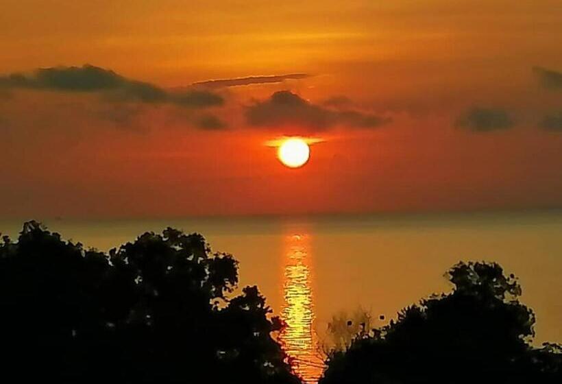 استراحتگاه D View Holiday Homes