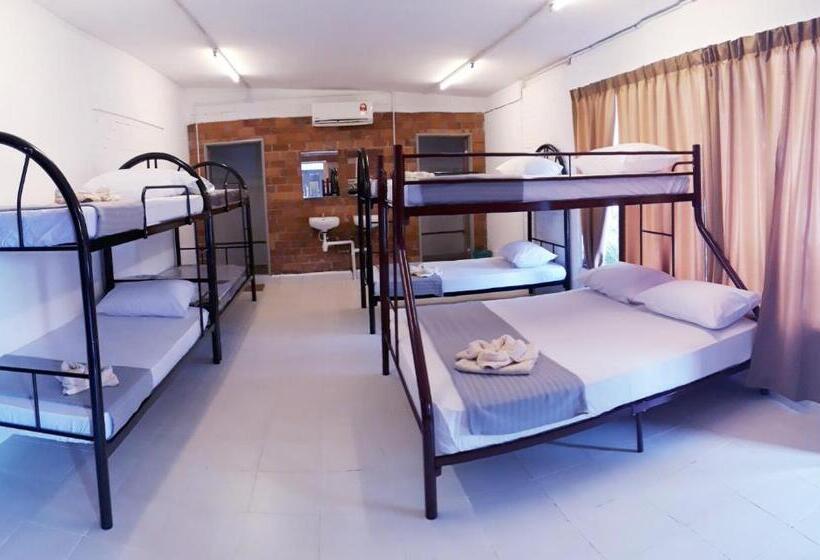 هاستل Dorm Master