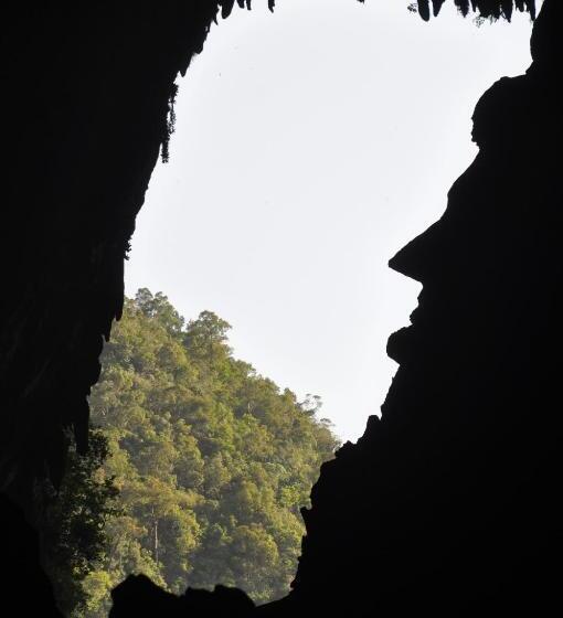 酒店 Mulu National Park