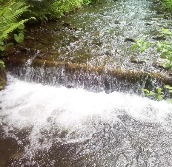 بنسيون Sadyba U Vani