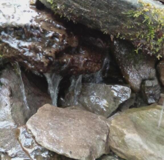 بنسيون Sadyba U Vani