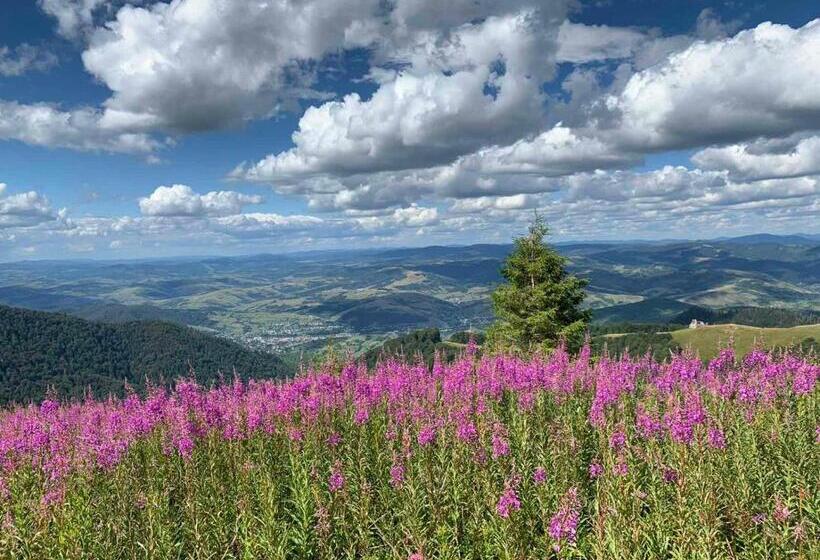 بنسيون Sadyba U Vani