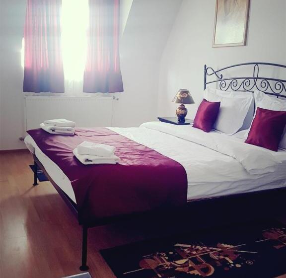 فندق صغير Pensiunea Byblos