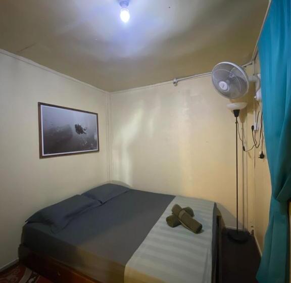 Общежитие Seahorse Diver Guesthouse