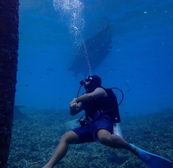 Общежитие Seahorse Diver Guesthouse