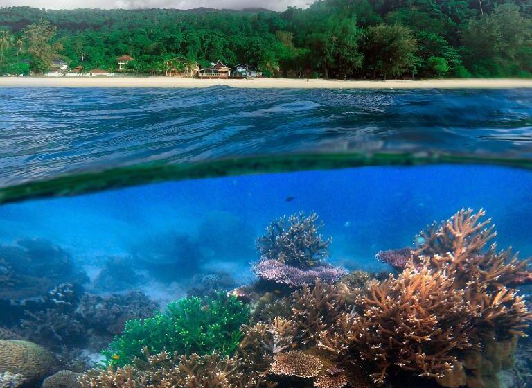 فندق صغير Swiss Cottage Tioman