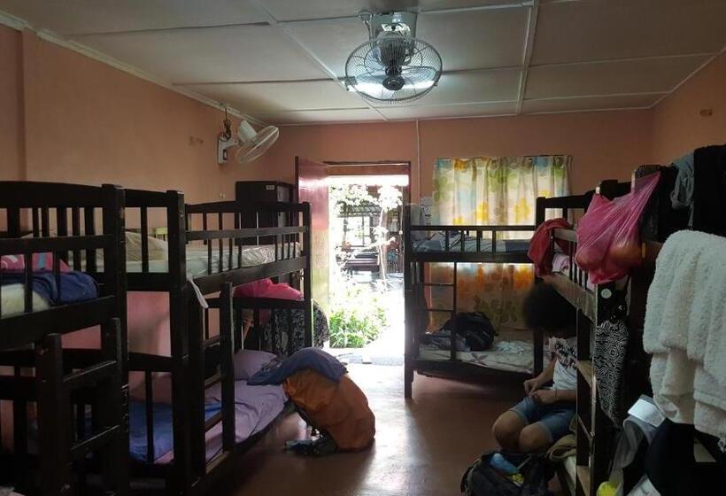 پانسیون Gecko Guesthouse