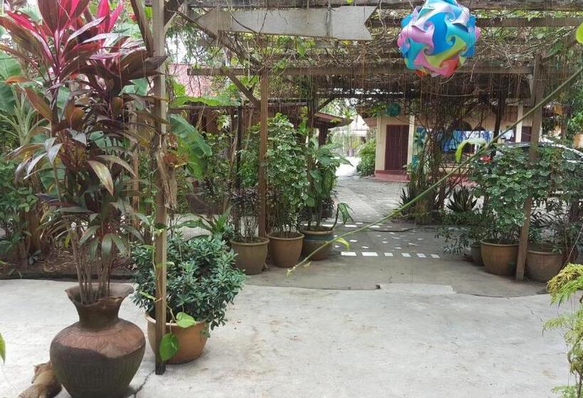 پانسیون Gecko Guesthouse