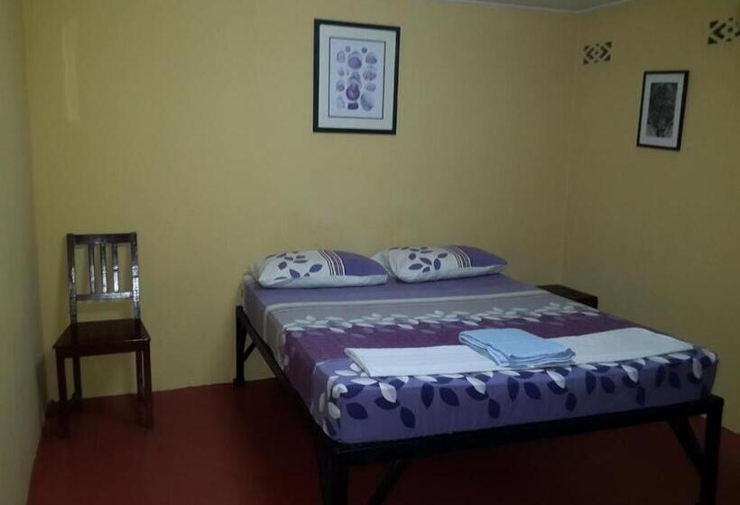 پانسیون Gecko Guesthouse