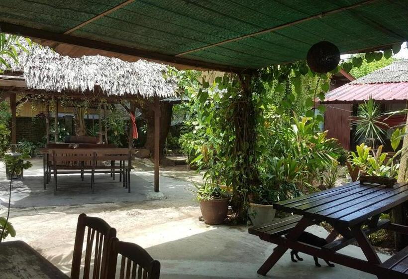 پانسیون Gecko Guesthouse