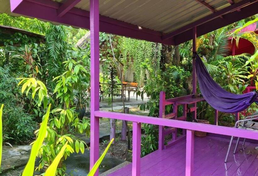 پانسیون Gecko Guesthouse