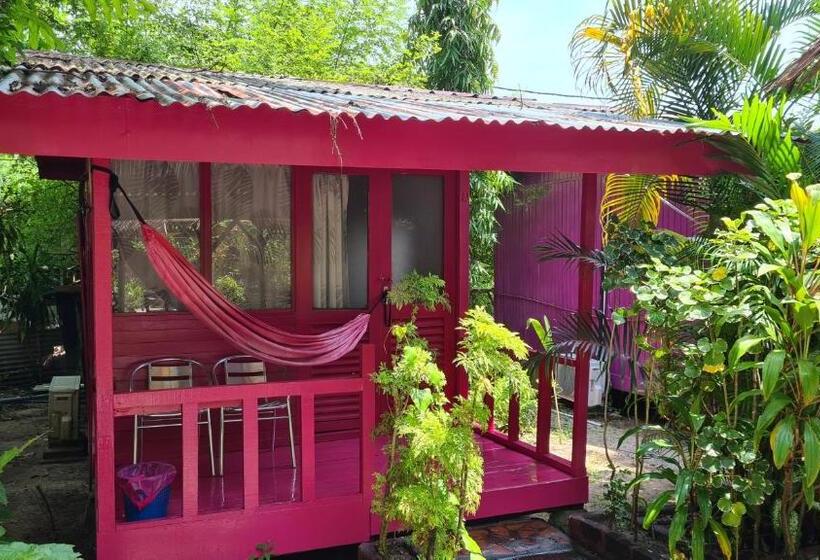 پانسیون Gecko Guesthouse