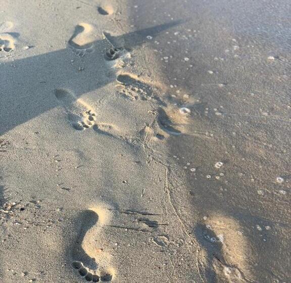 فندق صغير Lev