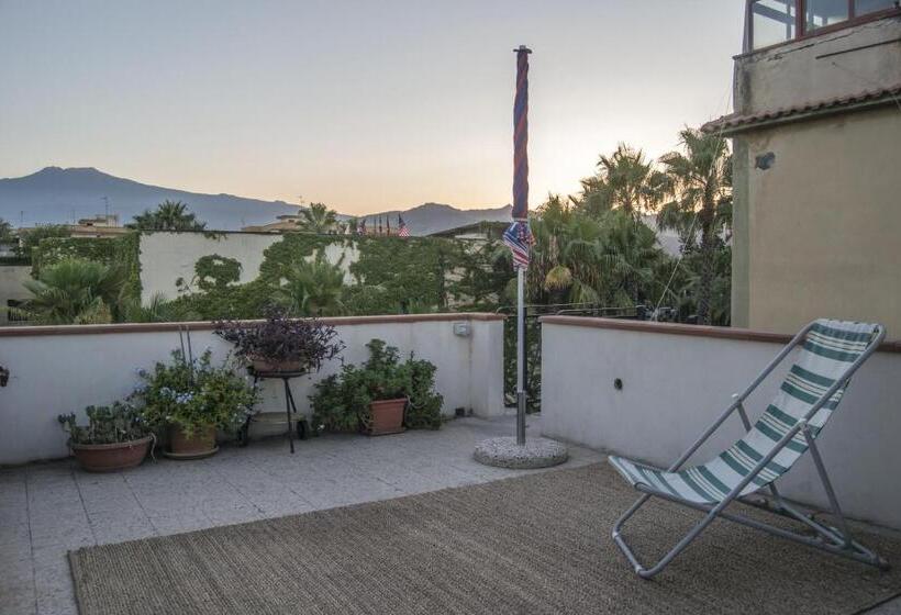 B&b Cactus