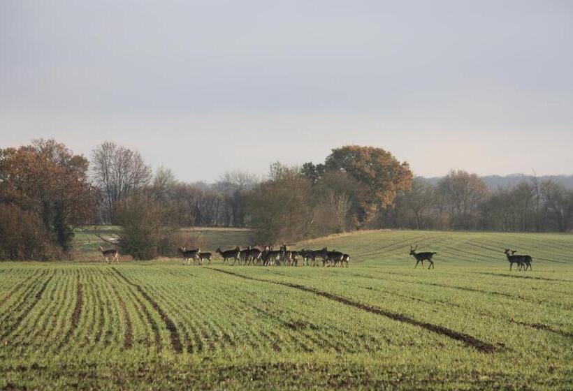 تختخواب و صبحانه Puttocks Farm