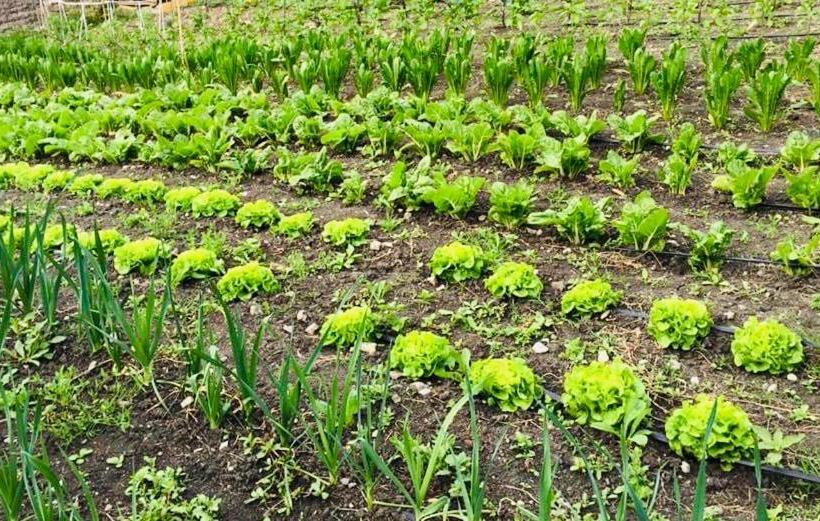 فندق La Palazzina Di Ciagnano