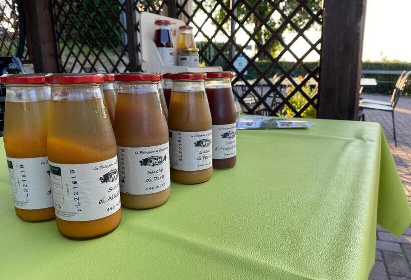 فندق La Palazzina Di Ciagnano