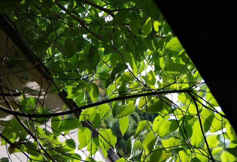 ریوکان あじ彩の宿小浜荘