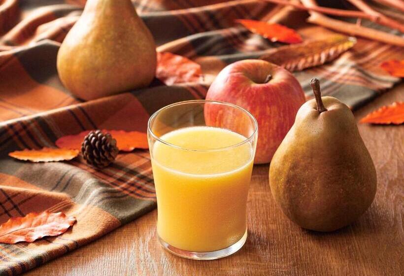 Comfort Hotel Toyohashi