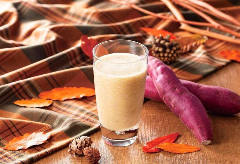 Comfort Hotel Toyohashi