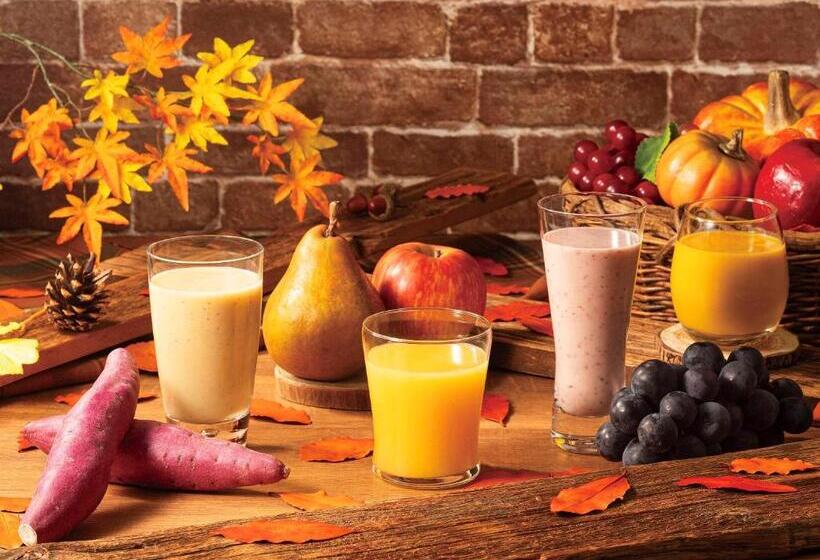 Comfort Hotel Toyohashi