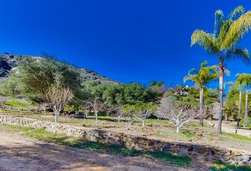 بنسيون Vineyard Hacienda