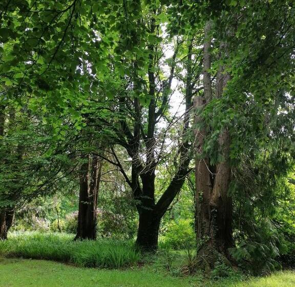 تختخواب و صبحانه Cullintra House